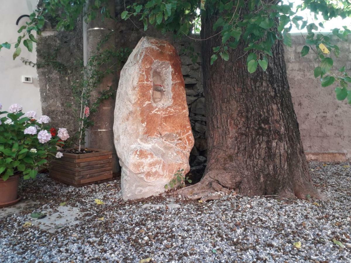 Vila Agriturismo Kralj Terst Exteriér fotografie